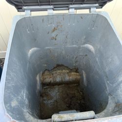 Bin Cleaning Service