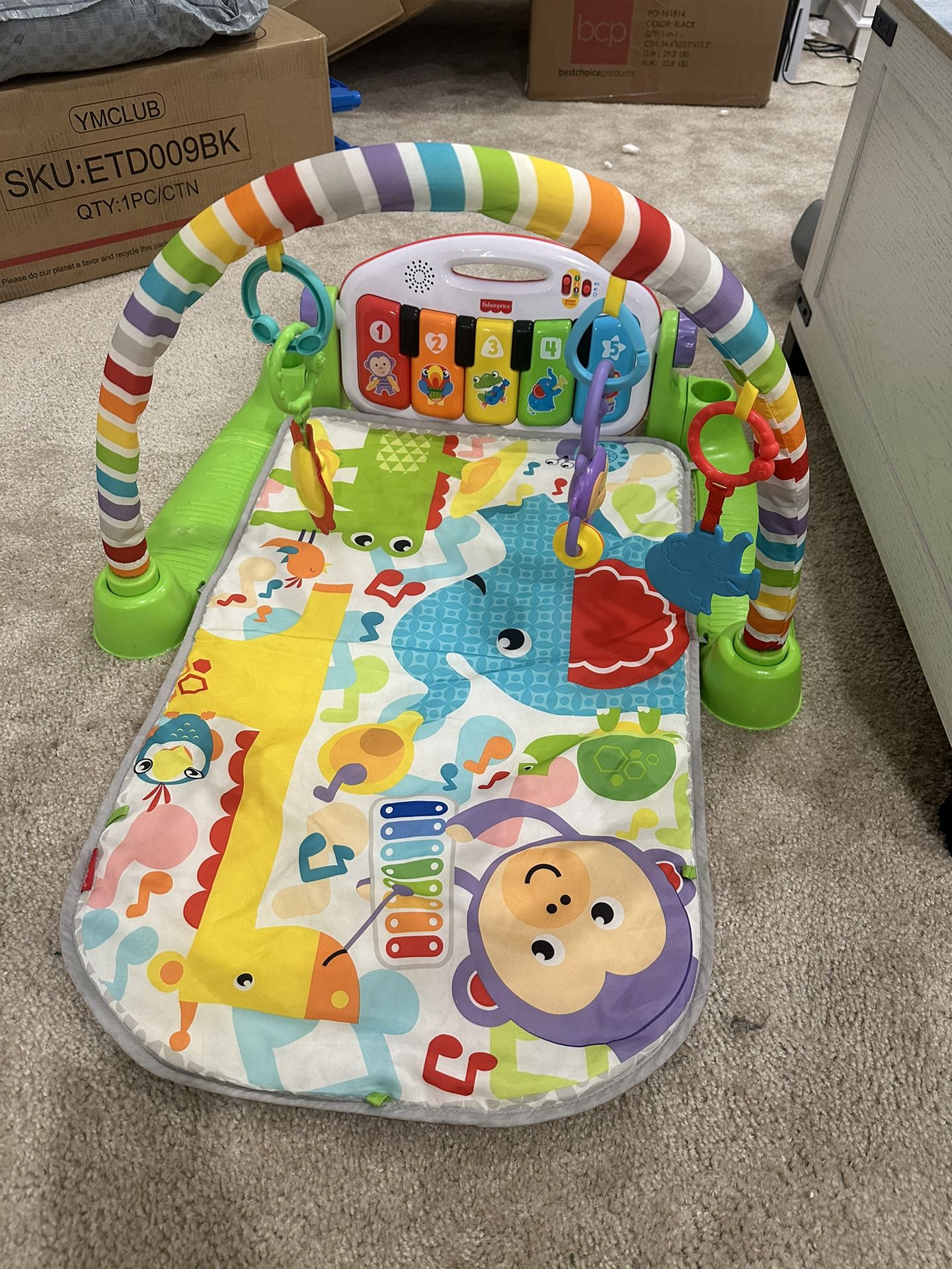 Fisher Price Baby Playmat