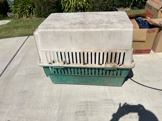 Large and small dog houses