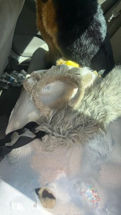 Halloween Costume Wolf Tail And Ears