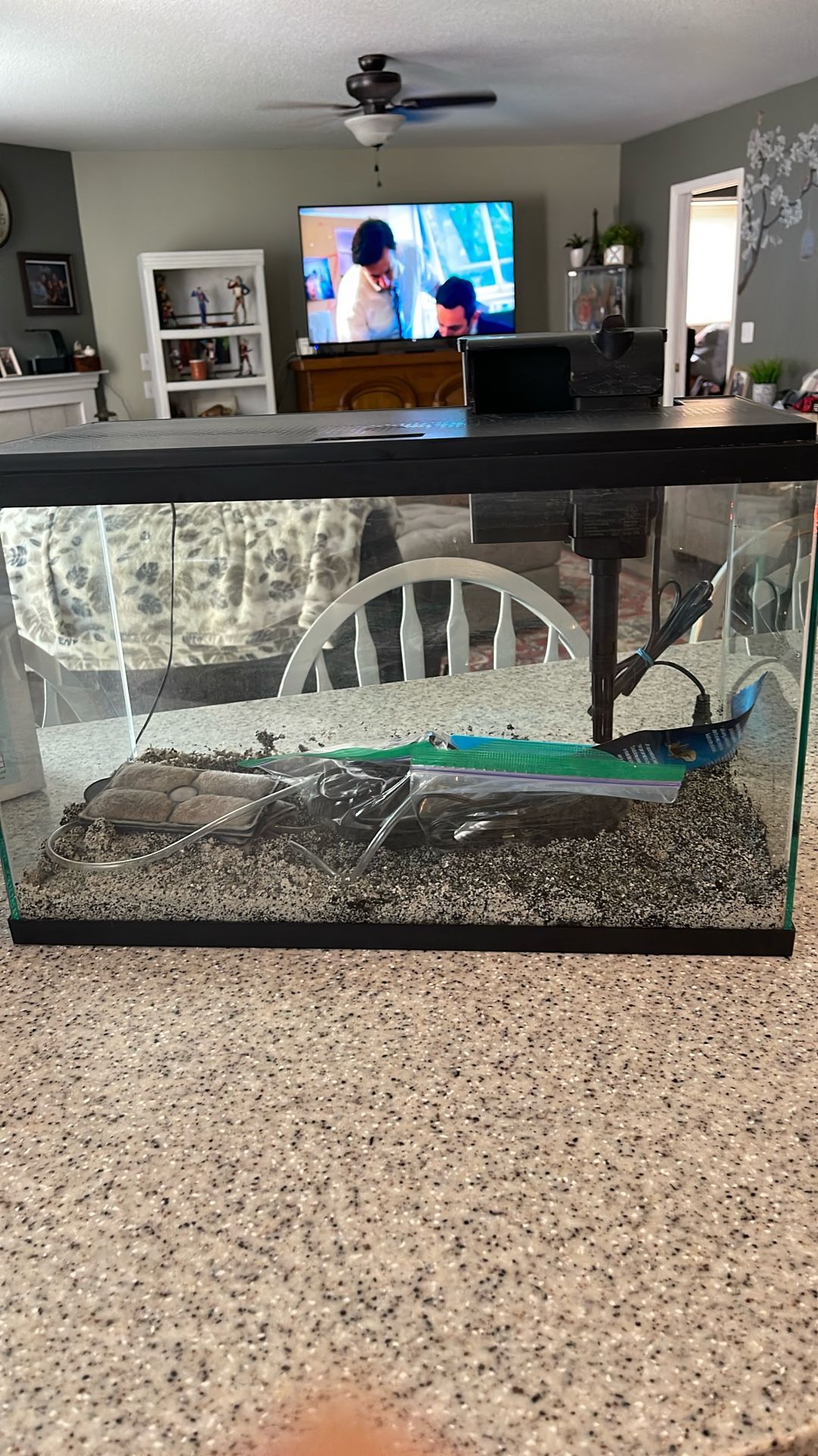 Complete 10 Gallon fish Tank