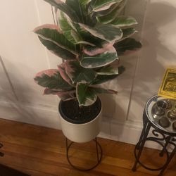 Plant Faux Decor With pot/stand