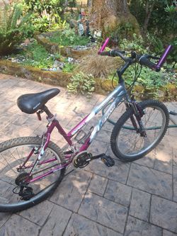 24 inch Magna great divine 21 speed bike