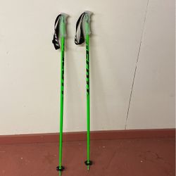 Scott Ski Poles