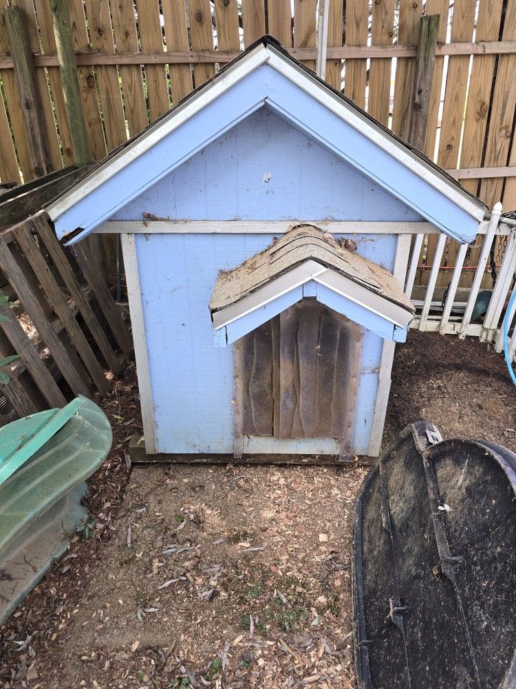 Dog House