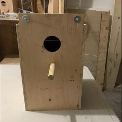 Green Cheek Conure Nest 