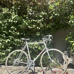 Centurion Bike; XL
