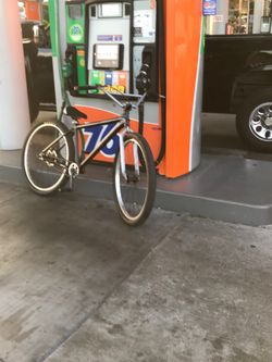 Throne bike 29