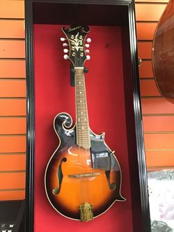Guitar Taurus