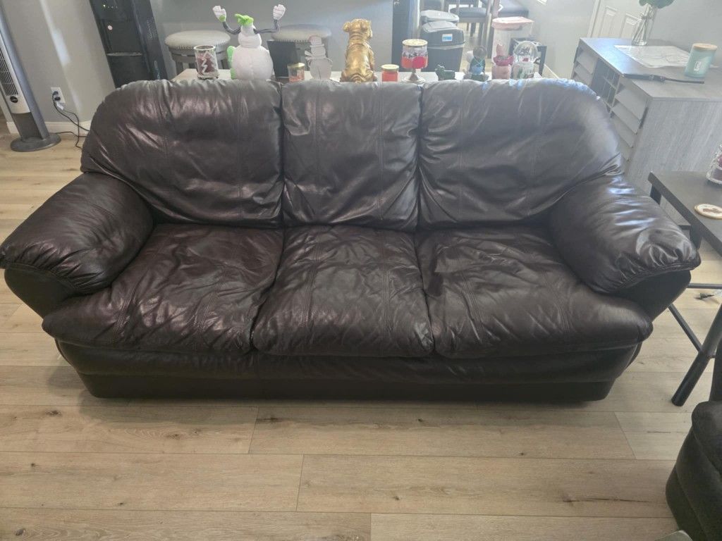 Brown Leather Couches