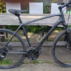 Trek Dual Sport 1 Hybrid Bike