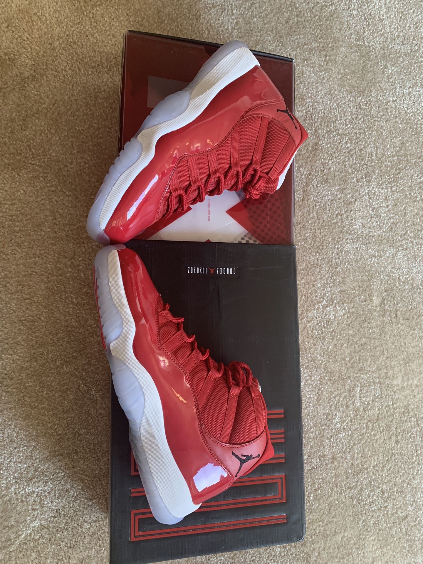 Air Jordan 11 win like 96 size 9.5