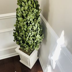 Faux Decor Plants 