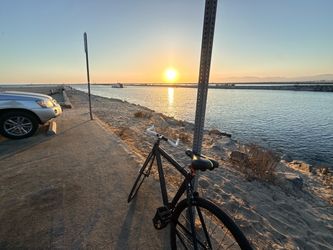 Leader 725 Single/Fixed Gear