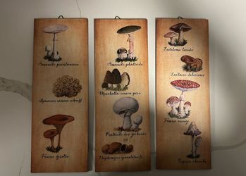Mushroom Wood Panels