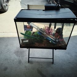 20 Gallon Aquarium Fish Tank 
