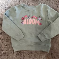 Toddler sweatshirt (18 Mos)