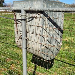 Feeders for horses 🐎
