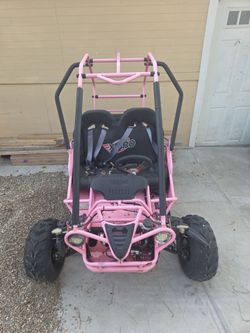 2021 xpro buggy