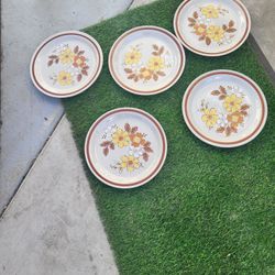 5 piece Dinner Ware Set
