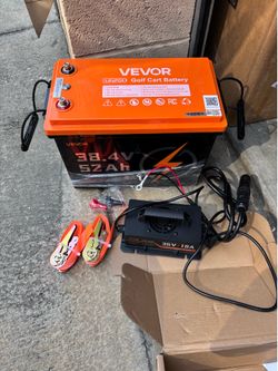 38.4V 52Ah LiFePO4 Golf Cart Battery with 36V 18A Charger