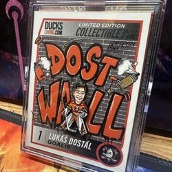 NHL Anaheim Ducks Lukas Dostal Collectible Pin Limited Release