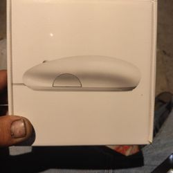 Computer And Accessories 