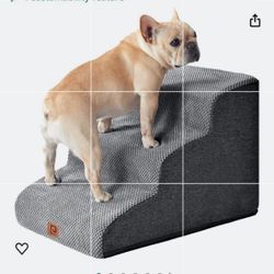 Dog Steps 
