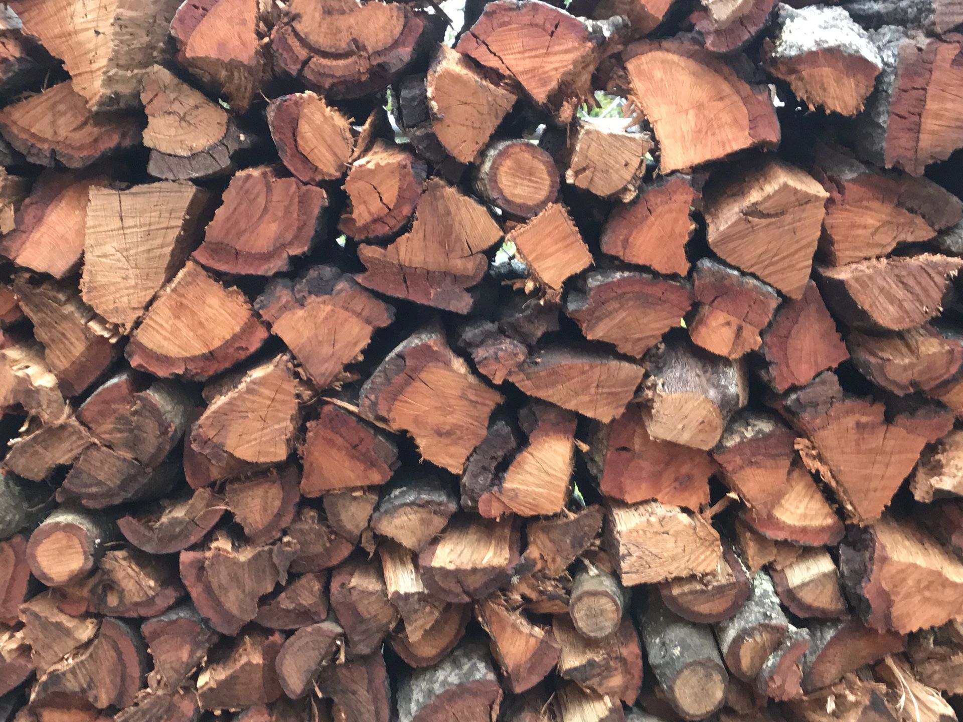 XXL Firewood Bundles 5-4-$20