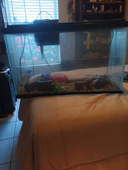 30 gallon aquarium