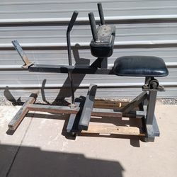 Seated Calf 