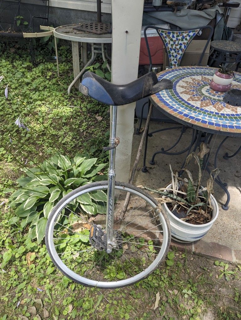 Torker 24in Unicycle Bike