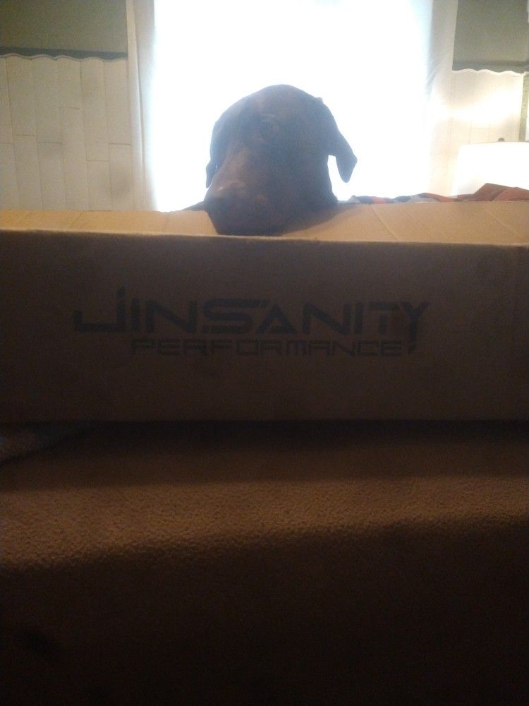 Nissan Rogue Roof Rail Crossbars Black 2 Piece Set