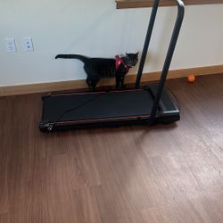 Treadmill perfect for small apartment 