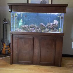 Reef Tank