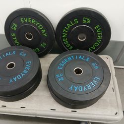 Weight Plates Bumper 45lb×4 And 25lbs×2 $140firm 