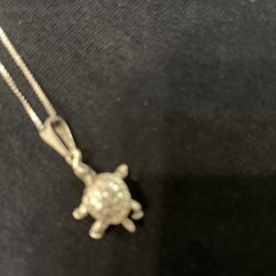 Cadena Y Dijen De Tortuga 