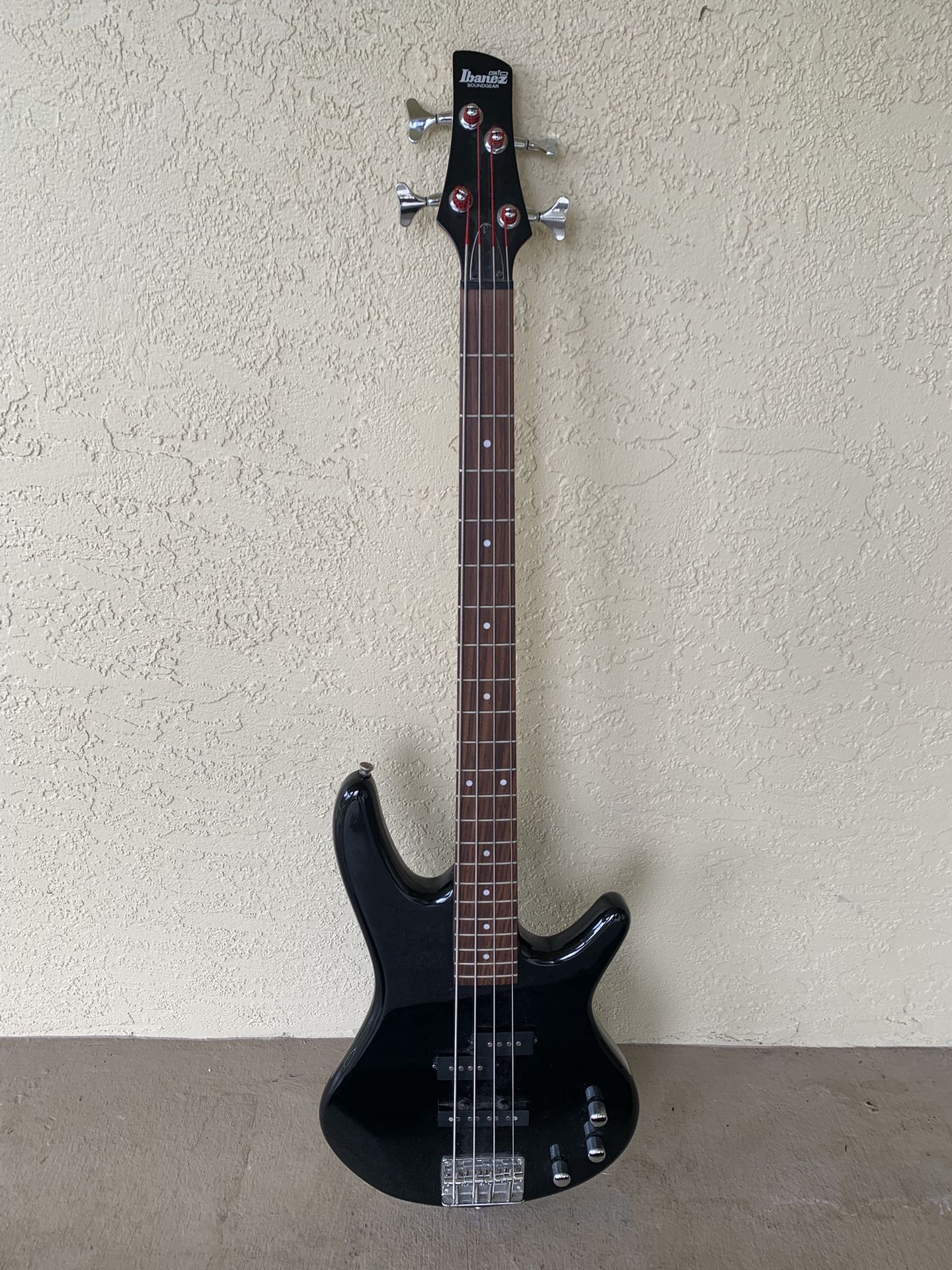 Bass With Bag