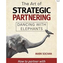 The Art Of Strategic Partnering 