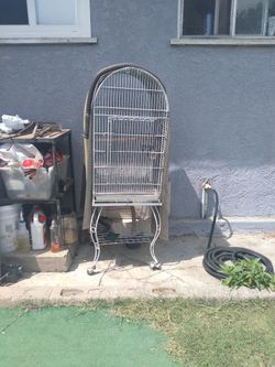 Bird Cage