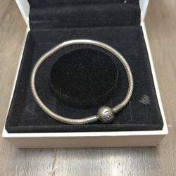 Snake Chain Bracelet 