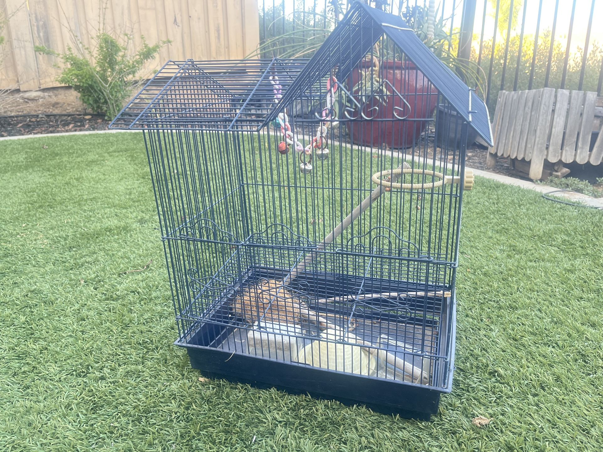 Bird Cage
