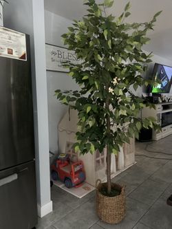 72" Artificial Ficus Tree in Basket