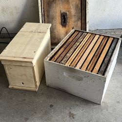 Bee Nuc And Honey Super With Lid