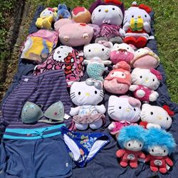 Hello Kitty Garage Sale Haledon NJ 7/5/25