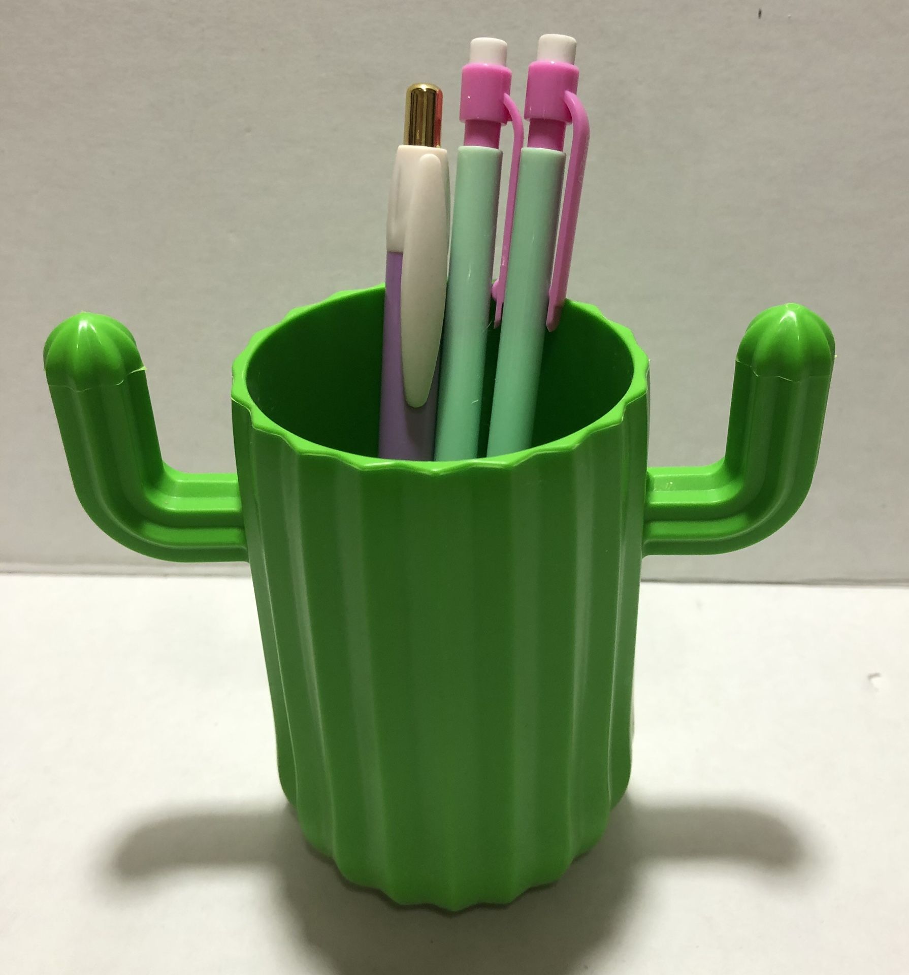 Cactus pen/pencil holder