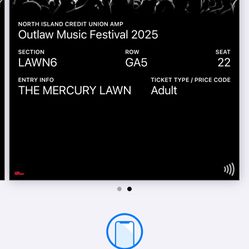 1 Ticket for Outlaw Festival - Billy Strings Willie Nelson Bob Dylan