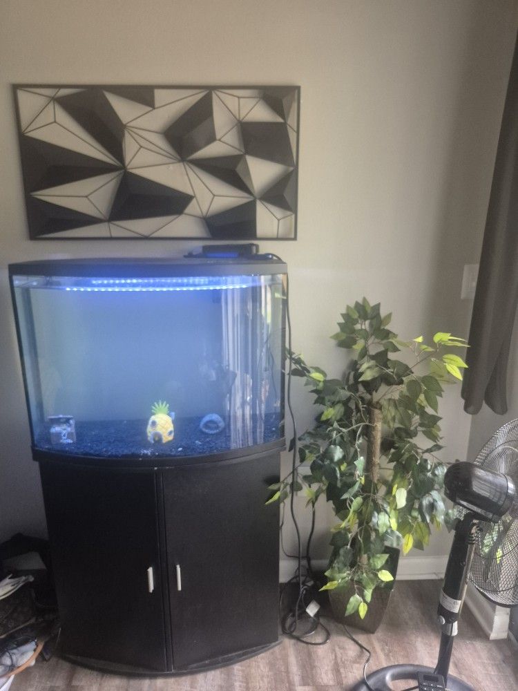36 Gallon Fish Tank