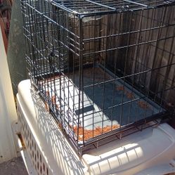 Dog Kennel $50 Obo