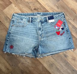 Disney Minnie Mouse shorts size 18 women